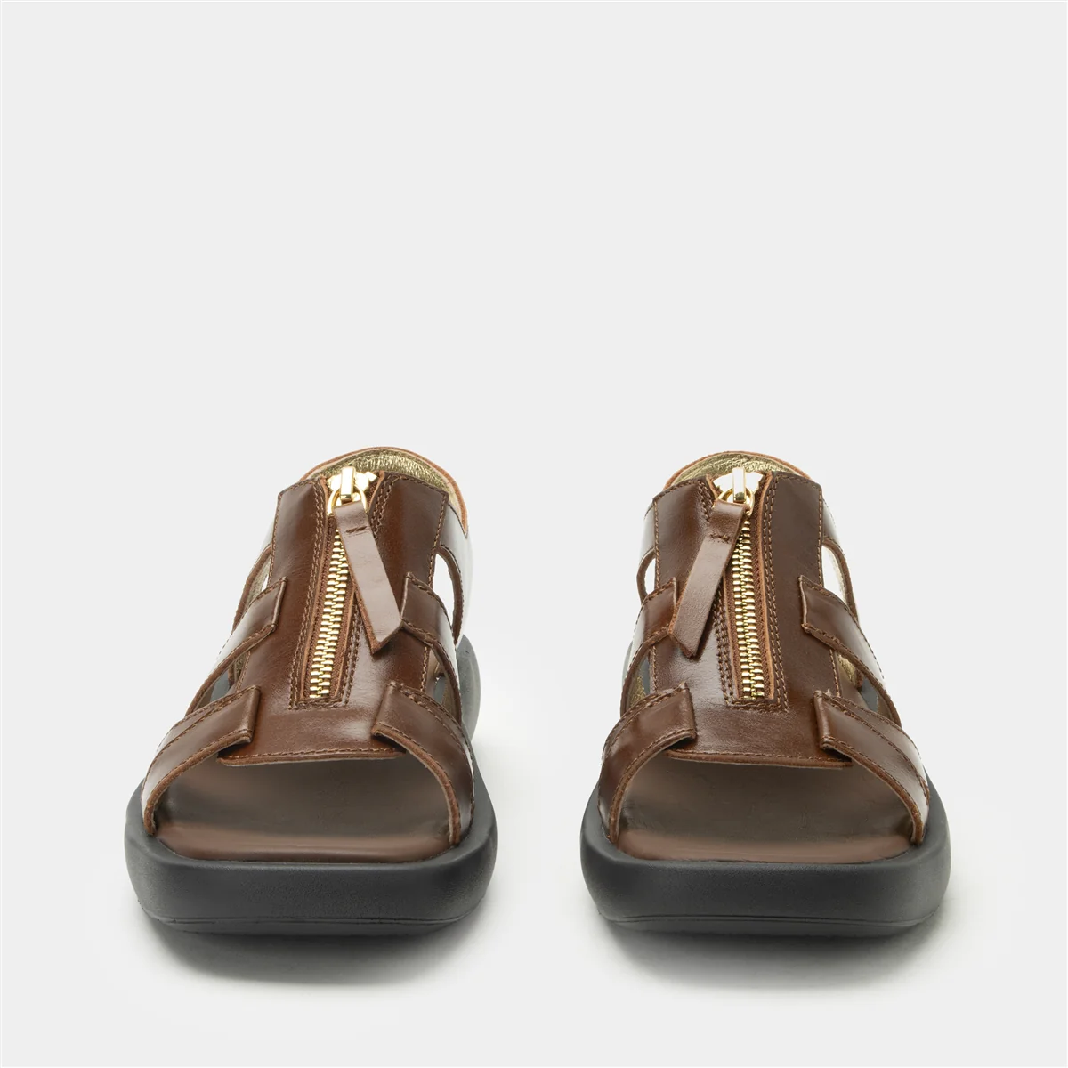 Palmer Marrone - Image 5