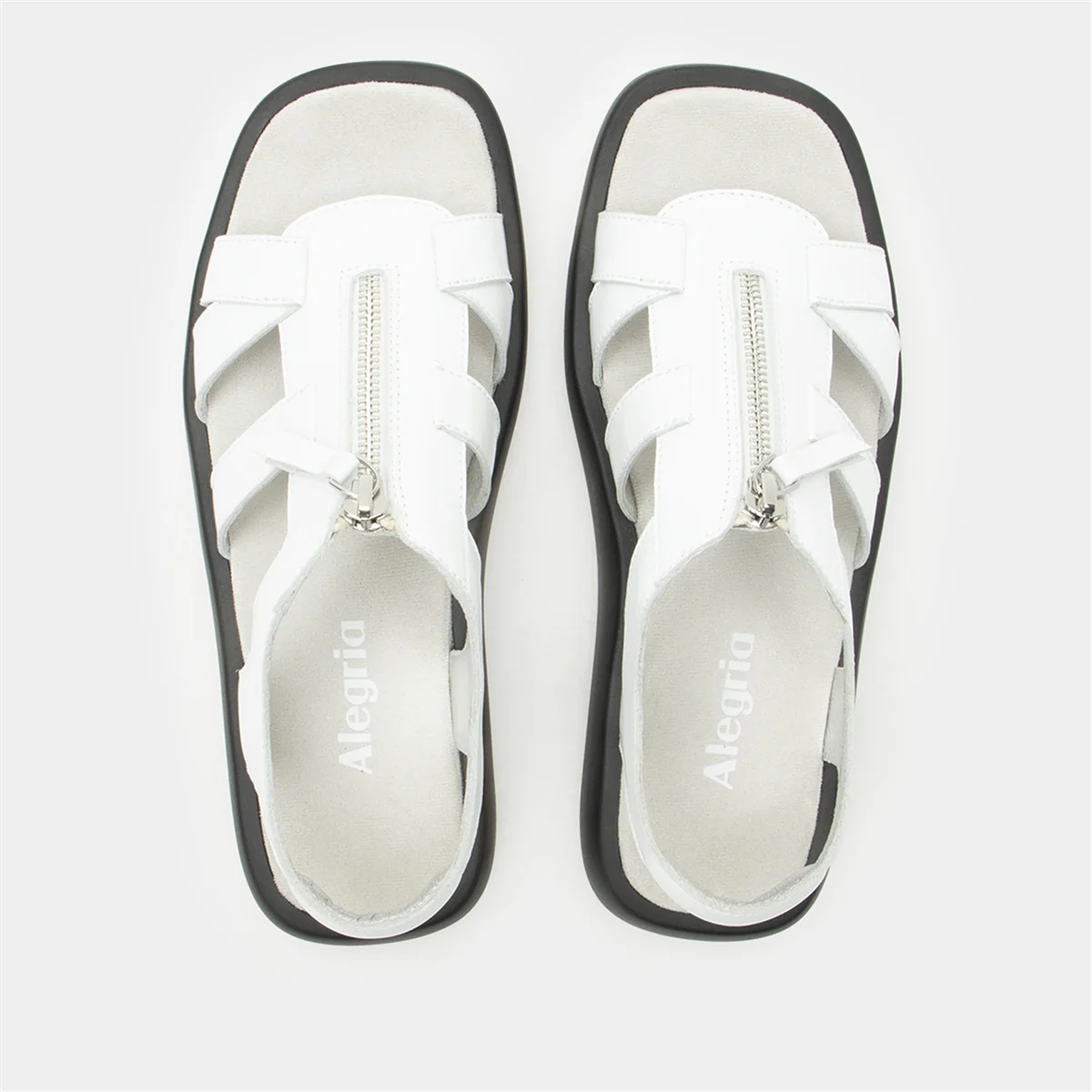 Palmer White - Image 4