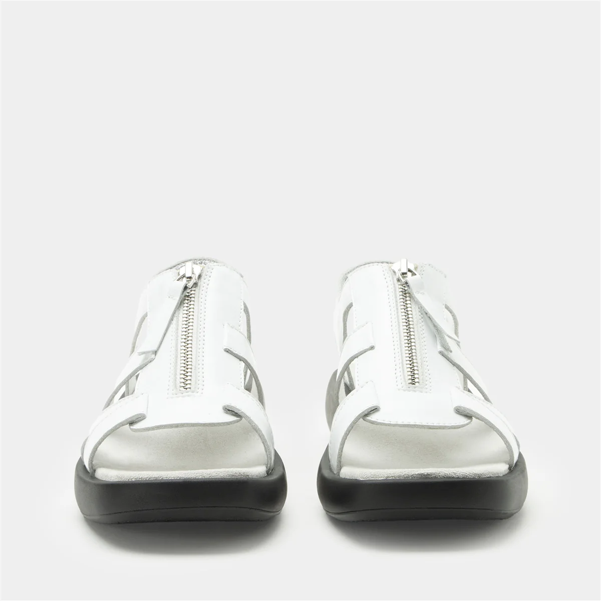 Palmer White - Image 5